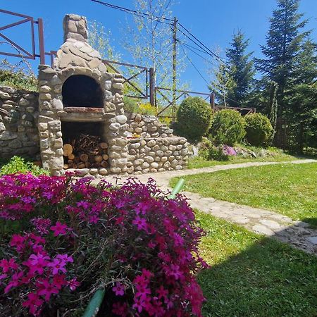 Chalet Mila Villa Mavrovo Dış mekan fotoğraf