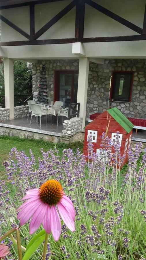 Chalet Mila Villa Mavrovo Dış mekan fotoğraf