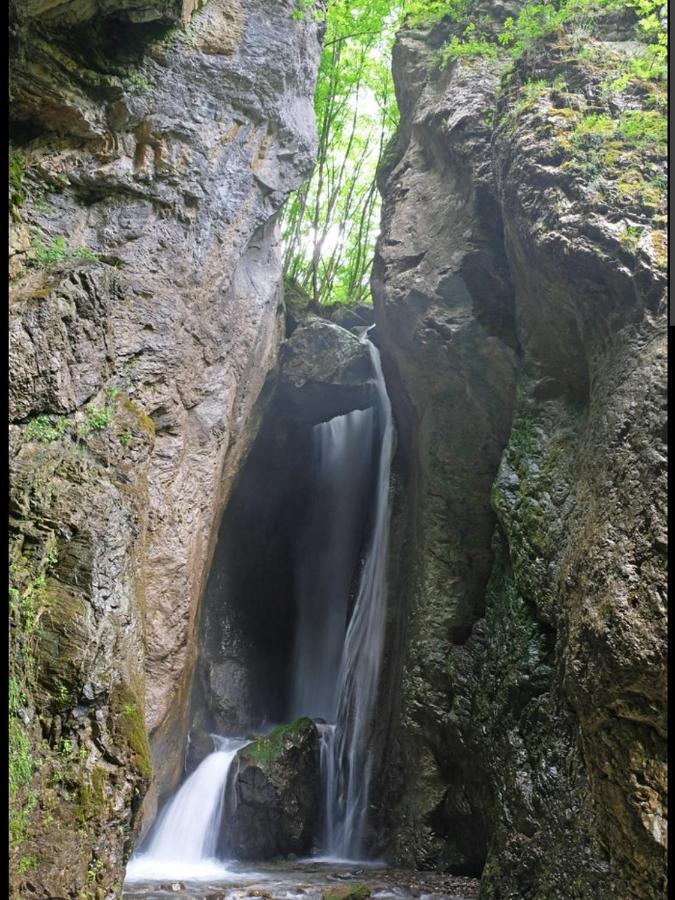 Chalet Mila Villa Mavrovo Dış mekan fotoğraf