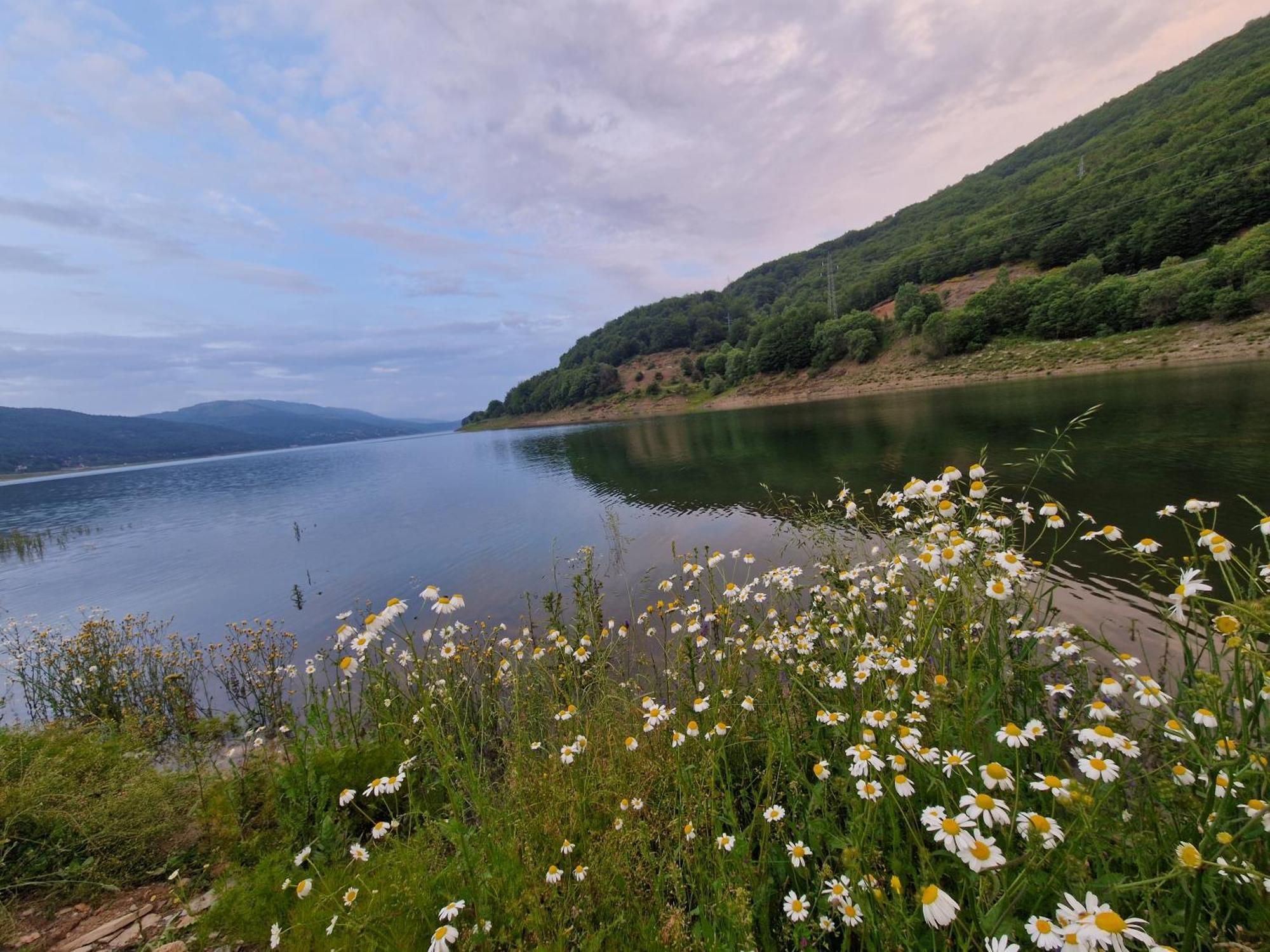 Chalet Mila Villa Mavrovo Dış mekan fotoğraf