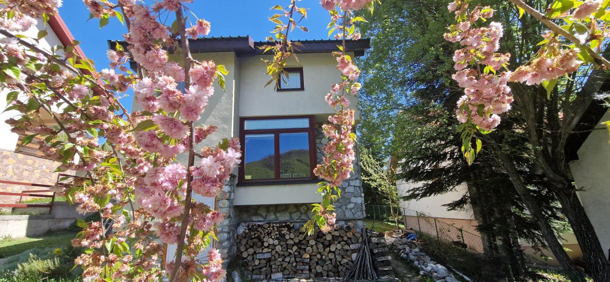 Chalet Mila Villa Mavrovo Dış mekan fotoğraf